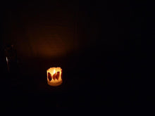 將圖片載入圖庫檢視器 [灯火] 日本製 乾燥植物蠟燭 Botanical Candle
